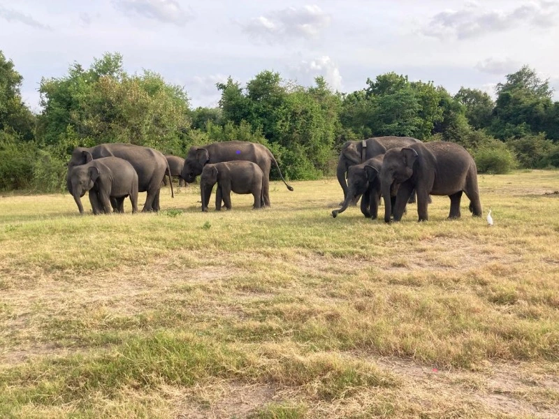 12-Day Nature & Wildlife